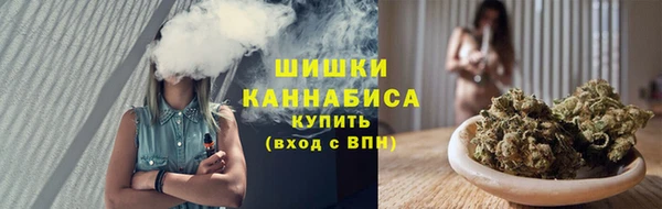 гидропоника Няндома