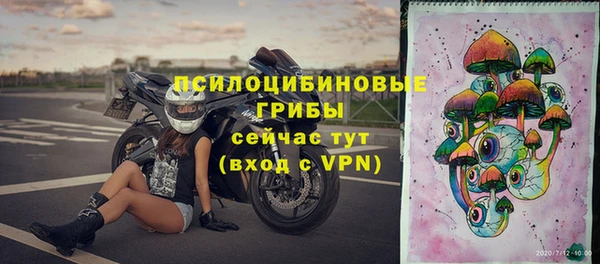 прущая мука Новозыбков