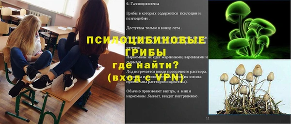 Альфа ПВП Новодвинск