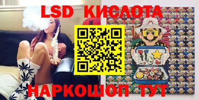 стафф Гай