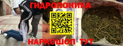 стафф Гай