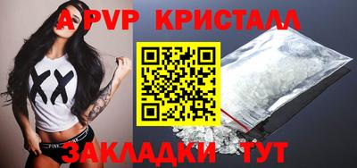 стафф Гай