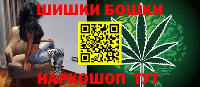 стафф Гай