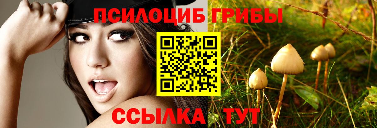 Коркино  Псилоцибиновые грибы ЛСД  Вход с VPN 